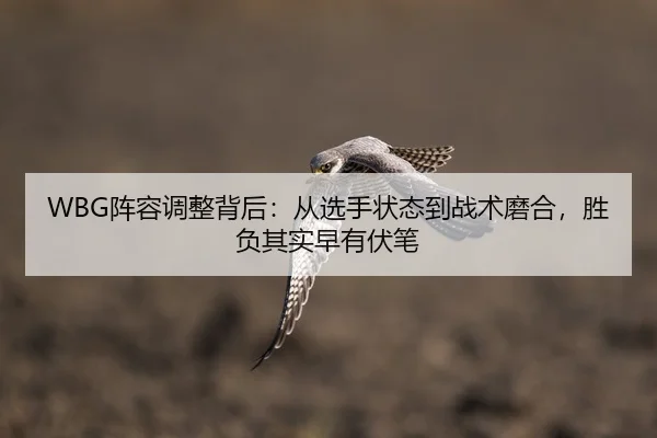 zhen-rong-tiao-zheng-bei-hou-cong-xuan-shou-zhuang-tai-dao-zhan-shu-mo-he-sheng-fu-qi-shi-zao-you-fu-bi-2-914.jpg